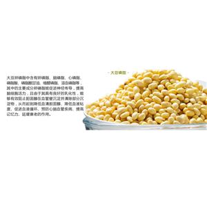 大豆卵磷脂,Soy Lecithin or Lecithin High Potency