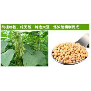 大豆卵磷脂,Soy Lecithin or Lecithin High Potency