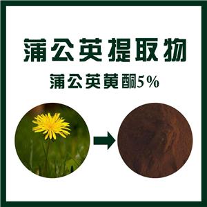 蒲公英提取物,Dandelion root extract