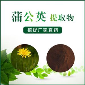 蒲公英提取物,Dandelion root extract