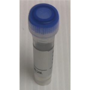 methyl (3R)-3-amino-3-(4-methoxyphenyl)propanoat