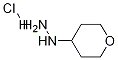 1-(四氢-2H-吡喃-4-基)肼盐酸盐