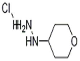 1-(四氢-2H-吡喃-4-基)肼盐酸盐