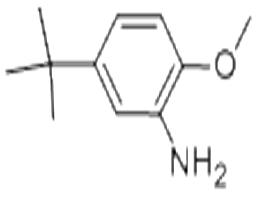 2-甲氧基-5-叔丁基苯胺