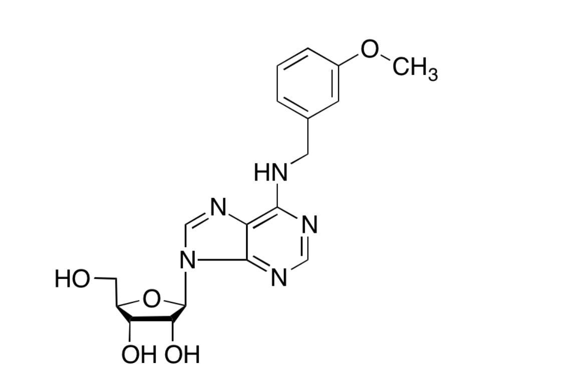 N-[(3-甲氧基苯基)甲基]-腺苷,meta-METHOXYTOPOLIN RIBOSIDE (MemTR)