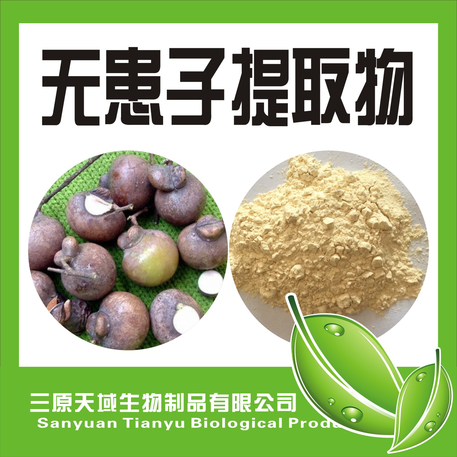 无患子提取物,Chinese Soapberry Seed P.E.