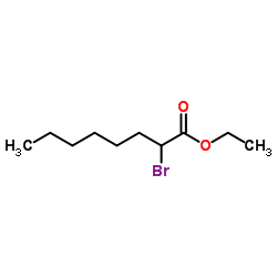 2-溴辛酸乙酯,Ethyl 2-Bromooctanoate