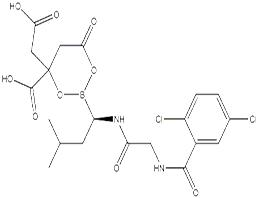 纳豆激酶脂质体、纳米包裹纳豆激酶、纳豆激酶纳米乳、油溶性纳豆激酶