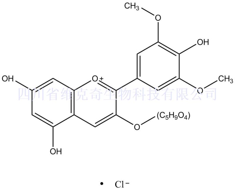 氯化锦葵色素-3-O-阿拉伯糖苷,Malvidin-3-O-arabinoside chloride