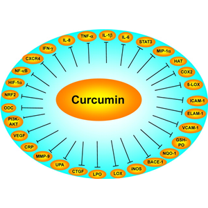 纳米脂质体姜黄素；纳米包裹姜黄素；水溶性姜黄素；生物活性姜黄素；纳米姜黄素,Liposomal Curcumin, Nanoactive Curcumin, NanoActive Curcumin, Water Soluble Curcumin