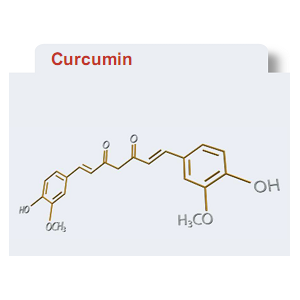 納米脂質(zhì)體姜黃素；納米包裹姜黃素；水溶性姜黃素；生物活性姜黃素；納米姜黃素,Liposomal Curcumin, Nanoactive Curcumin, NanoActive Curcumin, Water Soluble Curcumin