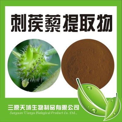 刺蒺藜提取物,Tribulus Terrestris Extract