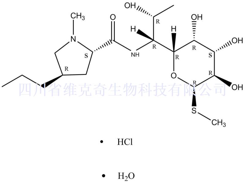 盐酸林可霉素一水合物/林可霉素盐酸盐一水合物,Lincomycin Hydrochloride Monohydrate