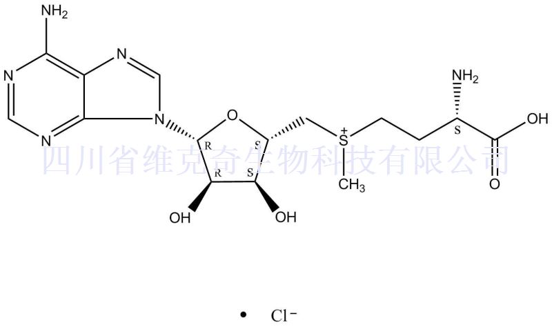 S-(5'-腺苷基)-L-氯化蛋氨酸,S-(5′-Adenosyl)-L-methionine chloride