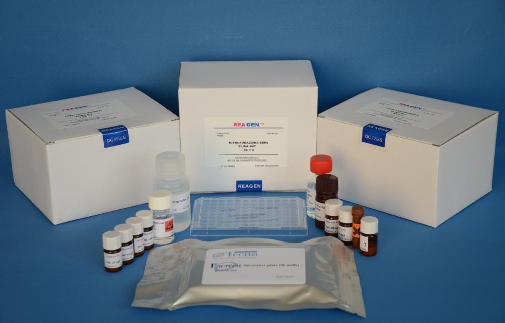 大鼠主要碱性蛋白(MBP)ELISA试剂盒,Rat major basic protein,MBP ELISA Kit