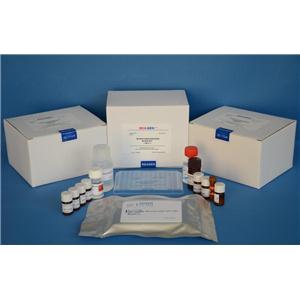大鼠主要碱性蛋白(MBP)ELISA试剂盒,Rat major basic protein,MBP ELISA Kit