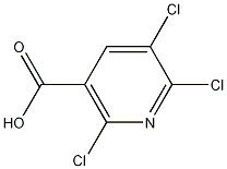 2,5,6-三氯煙酸,2,5,6-Trichloronicotinic acid