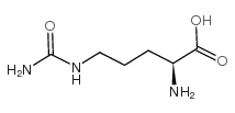 L-瓜氨酸,L-Citrulline