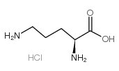 L-鸟氨酸盐酸盐,L-Ornithine HCL