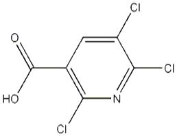 2,5,6-三氯烟酸