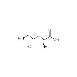 L-鸟氨酸盐酸盐,L-Ornithine HCL