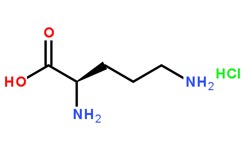 D-鸟氨酸盐酸盐,D-Ornithine HCL