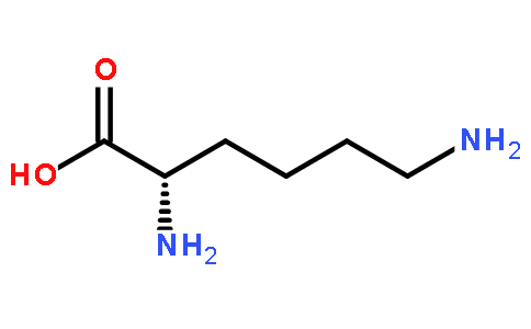 L-赖氨酸,L-Lysine