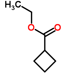 环丁烷甲酸乙酯,Ethyl Cyclobutanecarboxylate