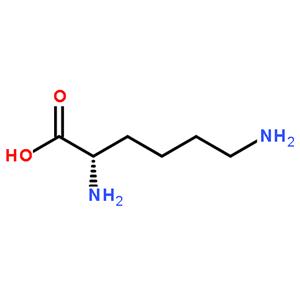 L-赖氨酸,L-Lysine