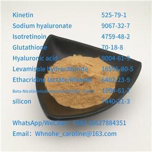 Isotretinoin,Anti Acne Powerful Isotretinoin Powder Isotretinoin Pharmaceutical Raw Materials