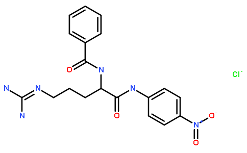 Na-苯甲酰-DL-精氨酸-对硝基酰胺盐酸盐,BAPNA