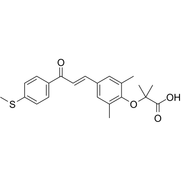 Elafibranor (GFT505