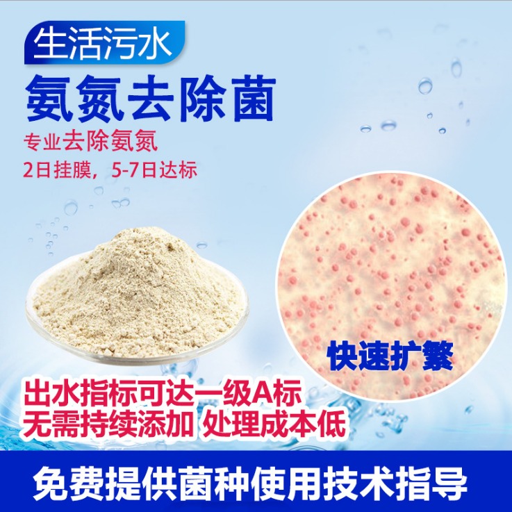 氨氮去除菌种,Ammonia nitrogen removal strain