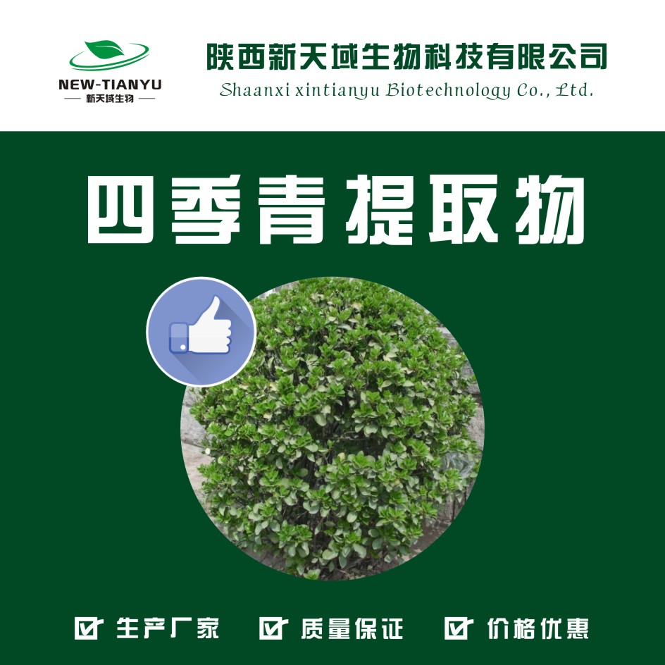 四季青提取物,Four Seasons Green extract