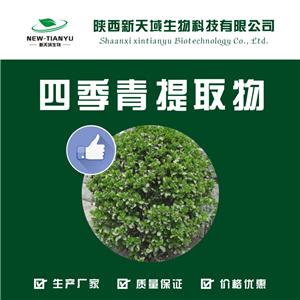 四季青提取物,Four Seasons Green extract