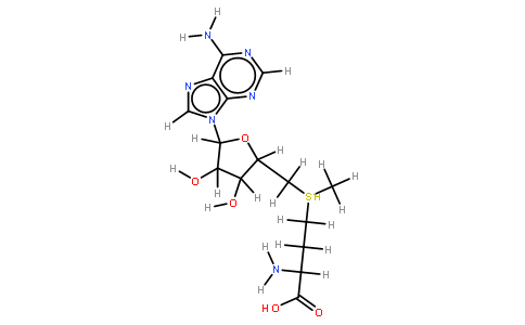 S-腺甘基蛋氨酸,AdoMet