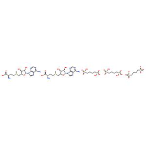 S-腺苷蛋氨酸对甲苯磺酸硫酸盐,SAME-PTS