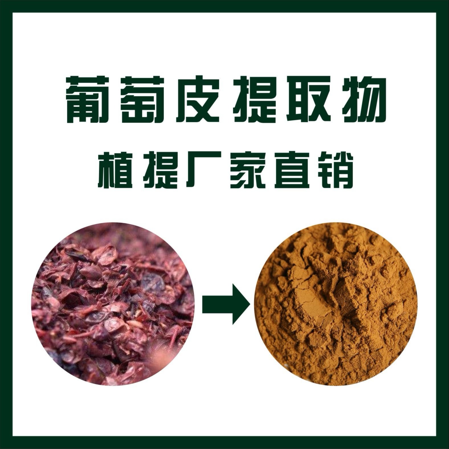 葡萄皮提取物,Grape skin extract