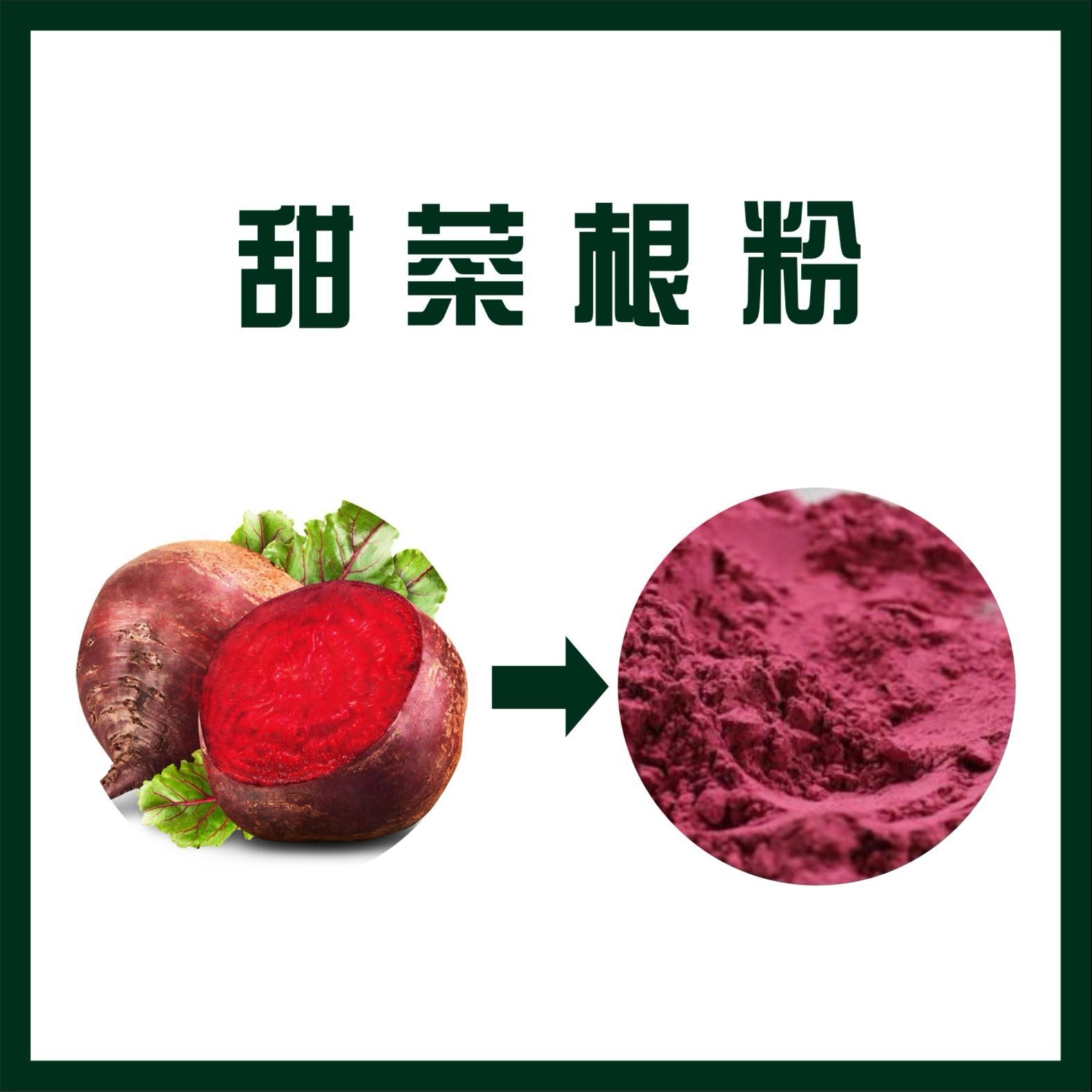 甜菜根粉,Beet root powder