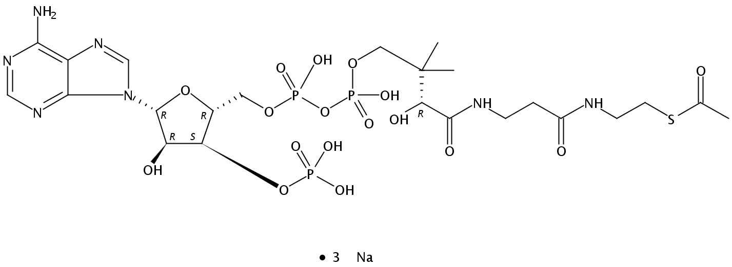 乙酰辅酶A,Acetyl CoA