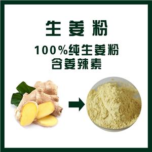 生姜粉,Ginger Extract