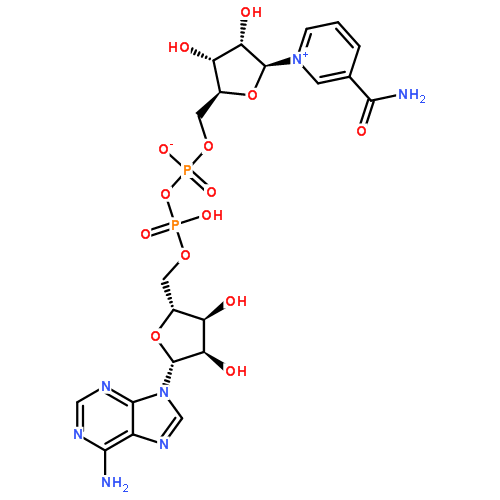 氧化型辅酶Ⅰ,β-NAD