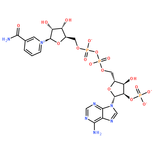 氧化型辅酶Ⅱ自由酸,β-NADP