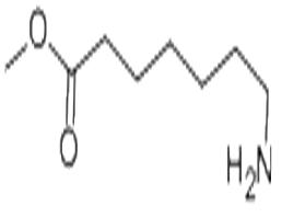 7-氨基庚酸甲酯,Methyl 7-aminoheptanoate
