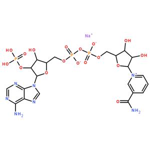 氧化型辅酶Ⅱ单钠盐,β-NADP