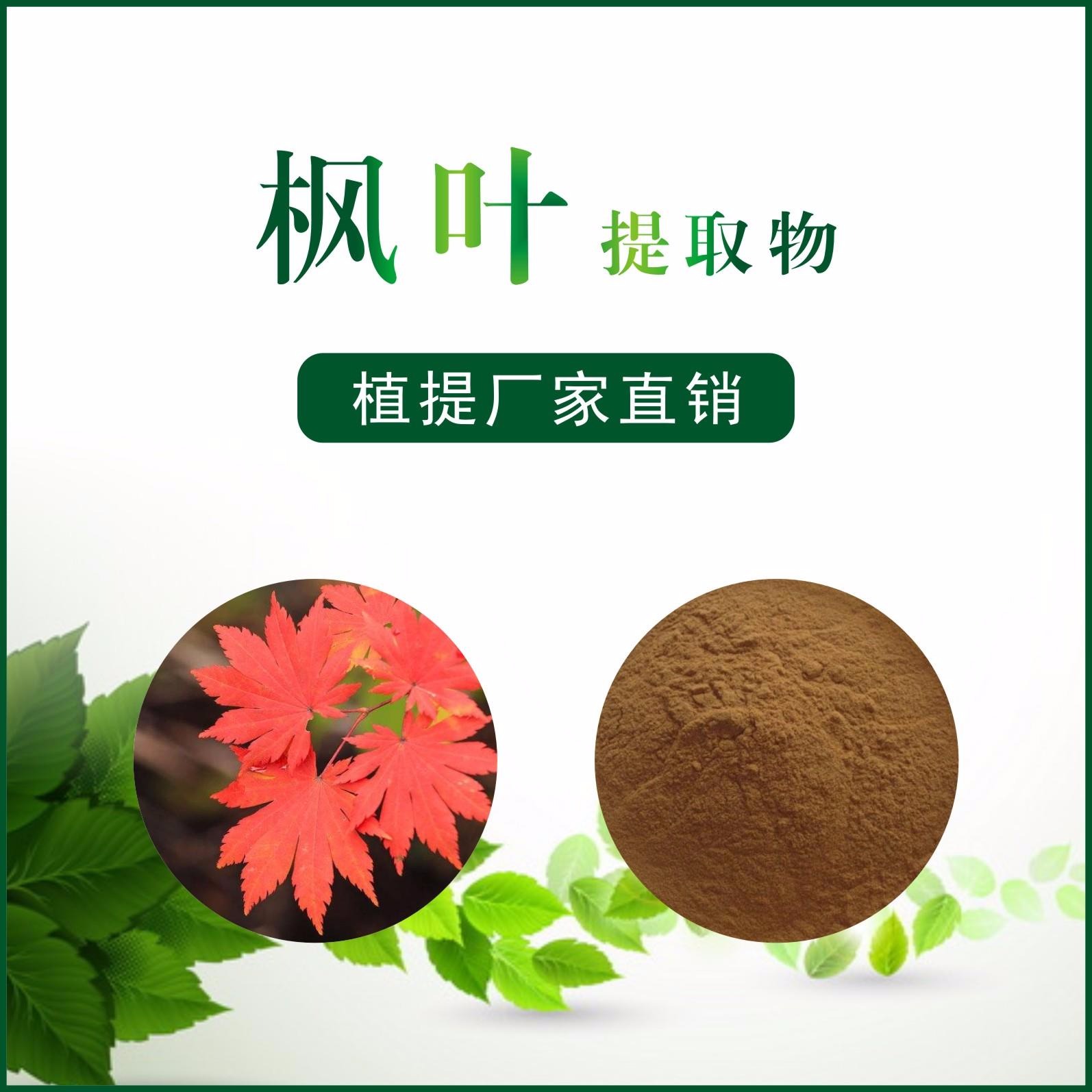 楓葉提取物,Maple Leaf Extract