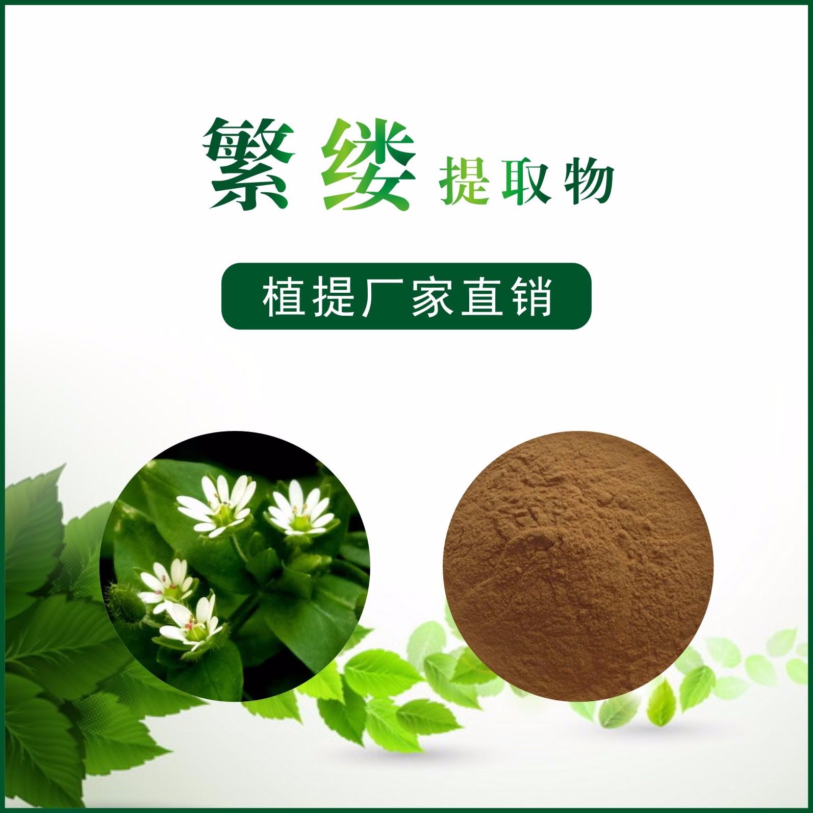 繁缕提取物,Chickweed