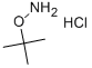 O-叔丁基羥胺鹽酸鹽,O-tert-butylhydroxylaMine hydrochloride