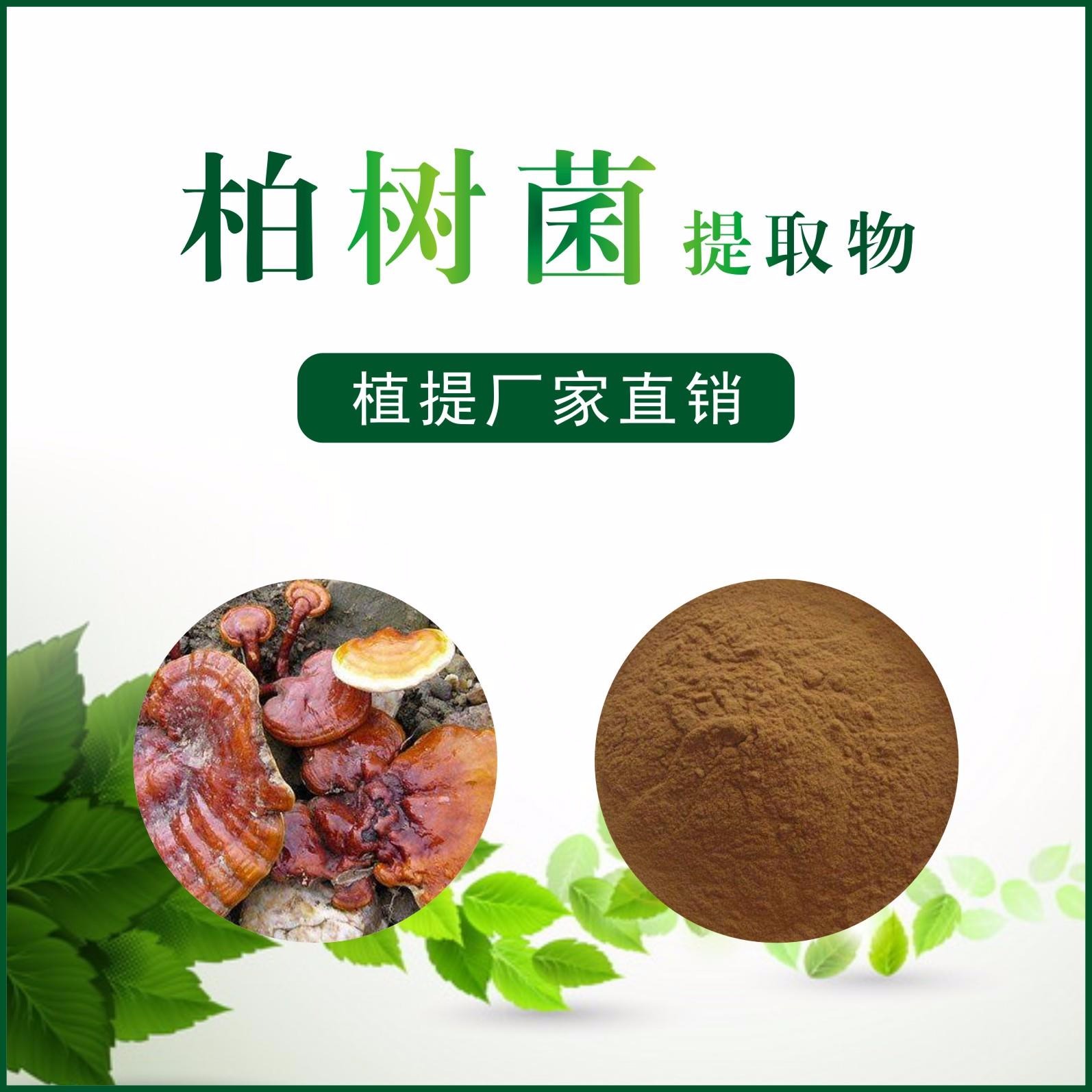 柏树菌提取物,Cypress fungus extract