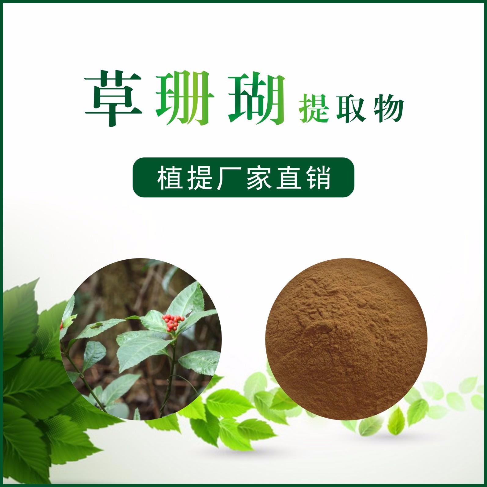 草珊瑚提取物,Grass Coral Extract